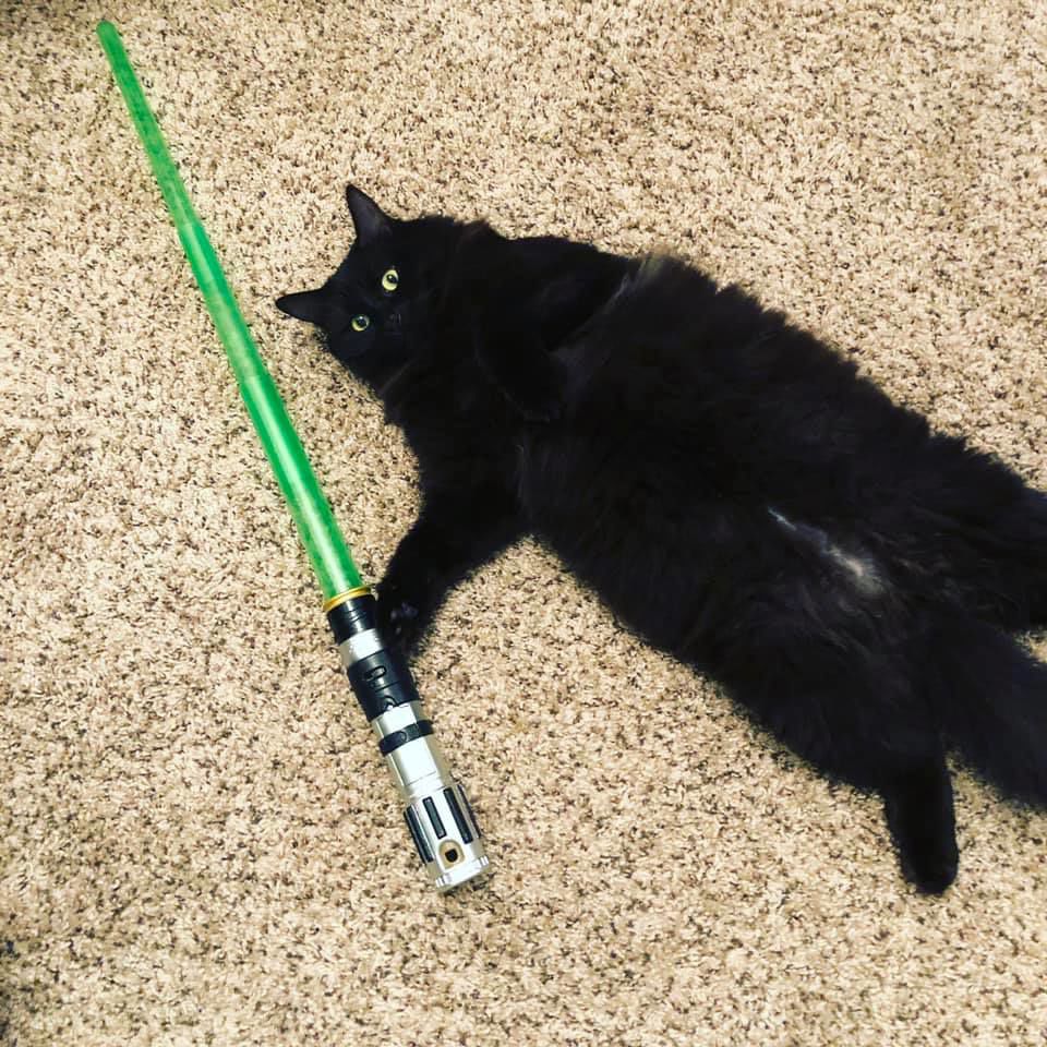 Readers pet photos